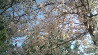 20110410151259.jpg