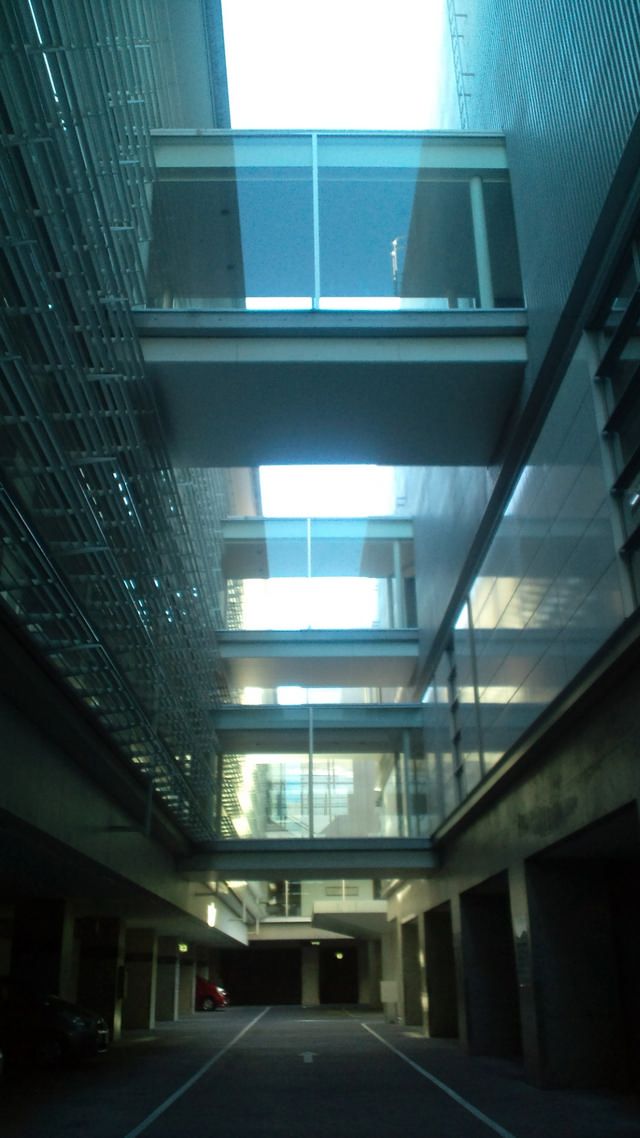 F1010252.jpg