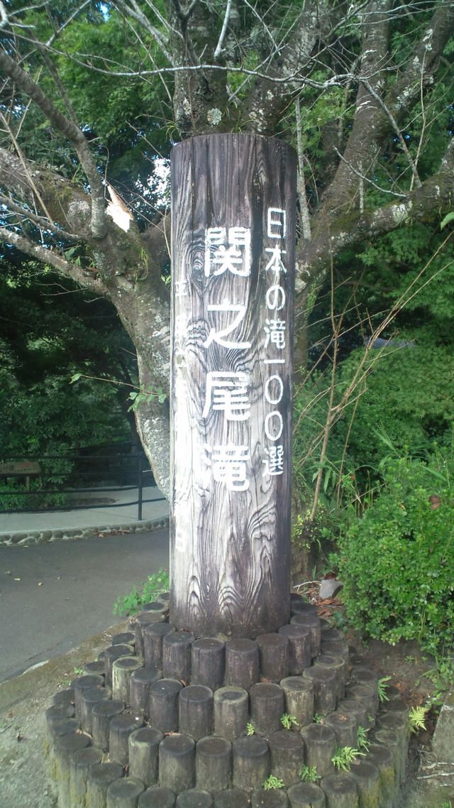 F1010330.jpg